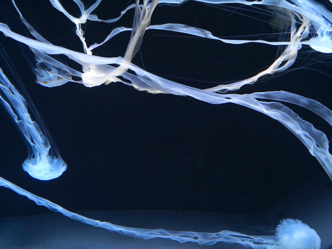 Photo Nerve regeneration