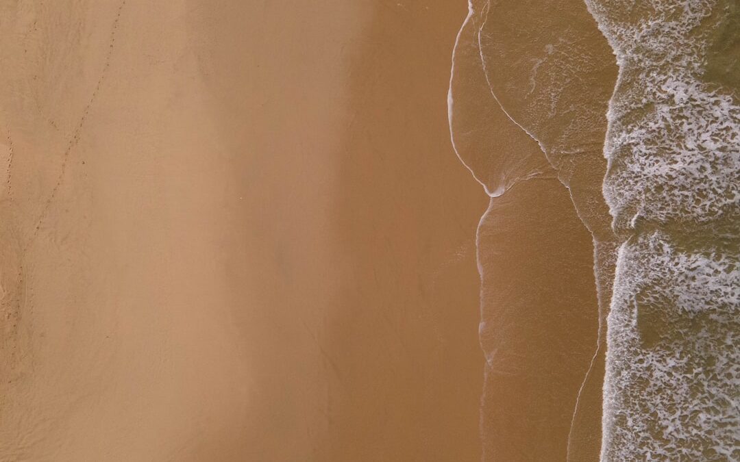 Photo X-ray scan