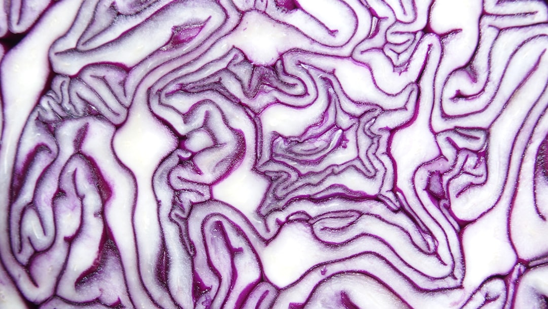 Photo Acidic stomach
