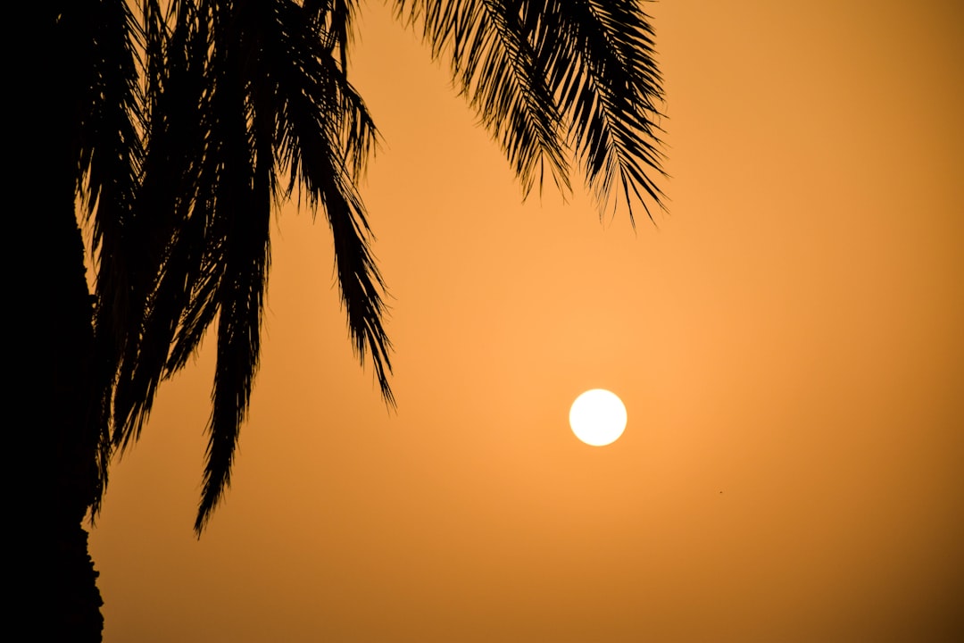 Photo Sunburn relief