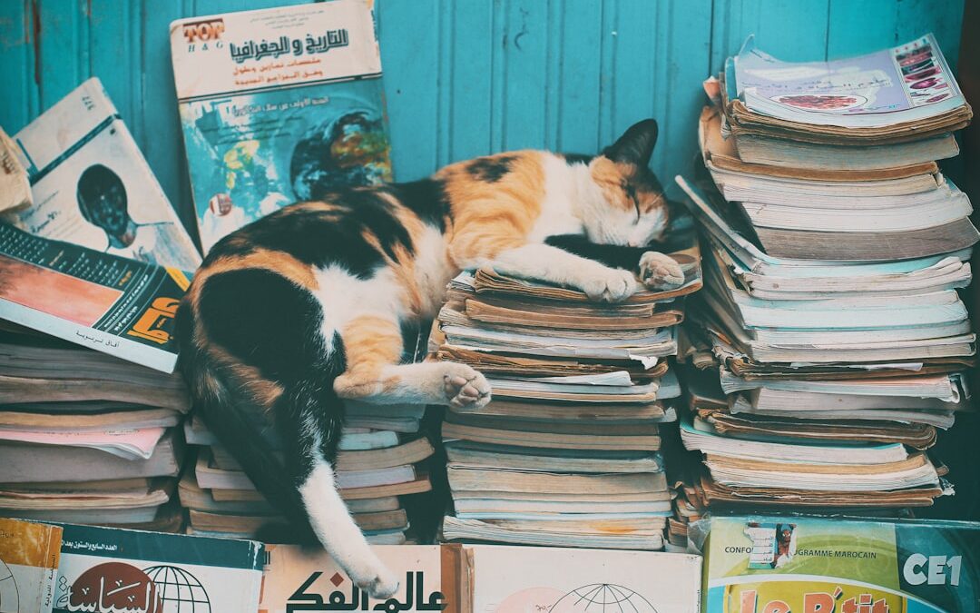 Photo Stressful lifestyle
