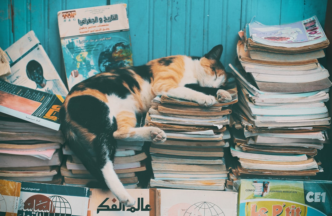 Photo Stressful lifestyle