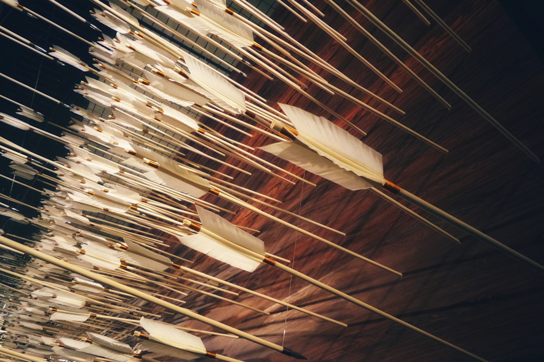 Photo Acupuncture