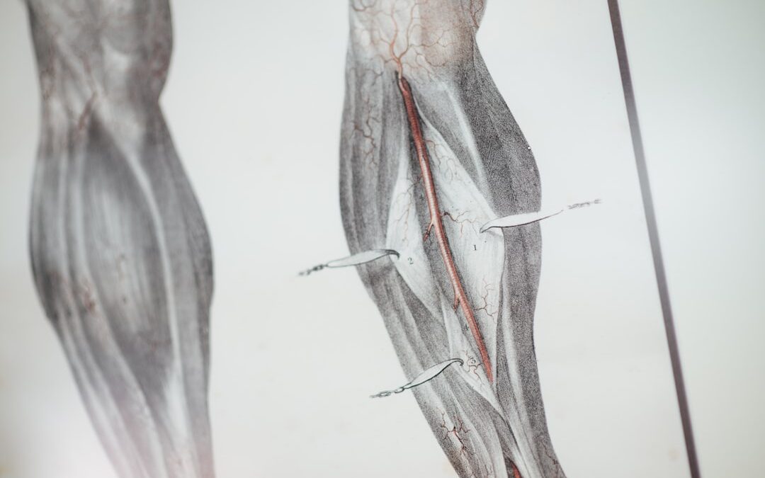 Photo Knee joint