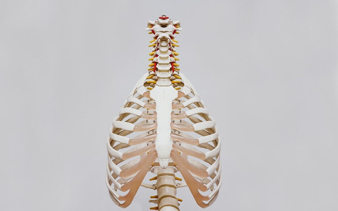 Photo Spine X-ray
