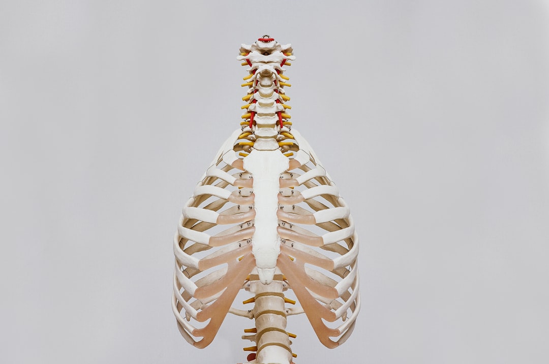 Photo Spine X-ray