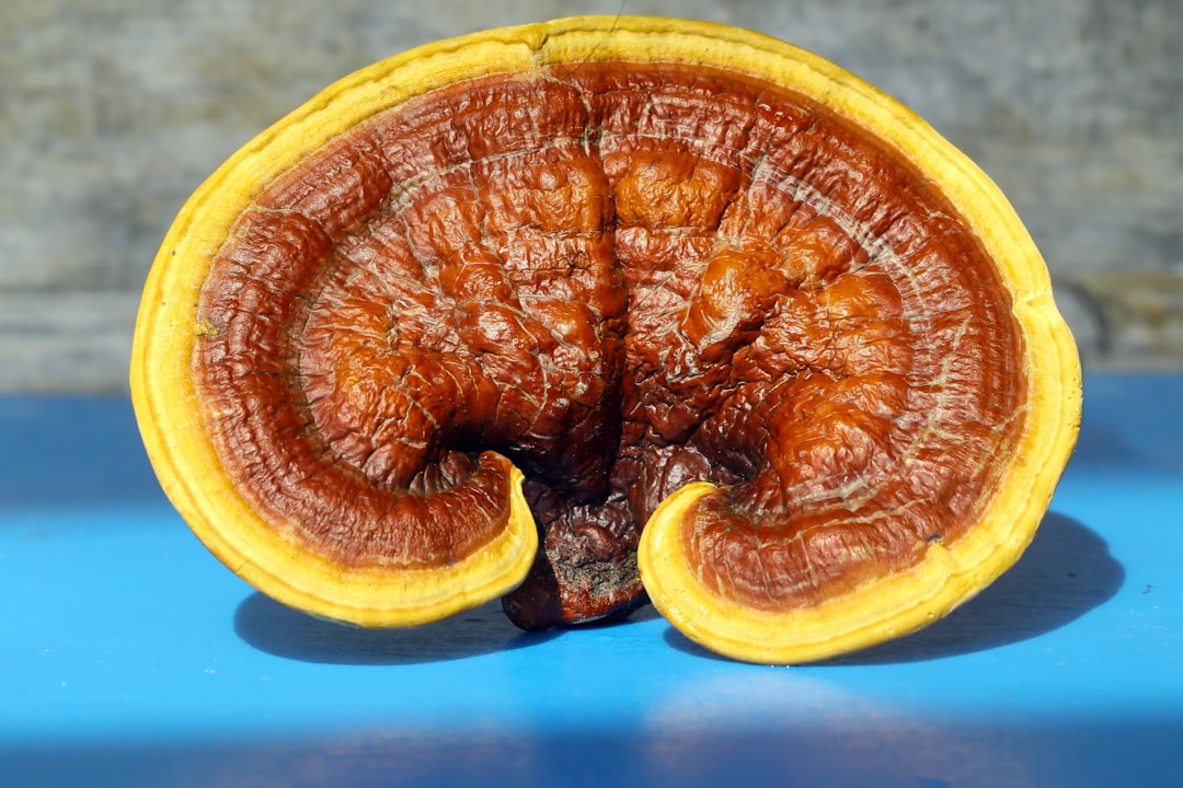 Photo Acidic stomach