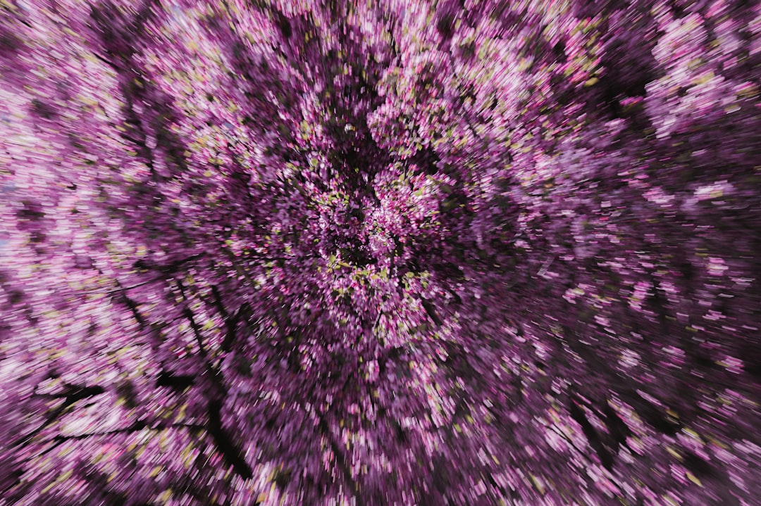 Photo MRI scan