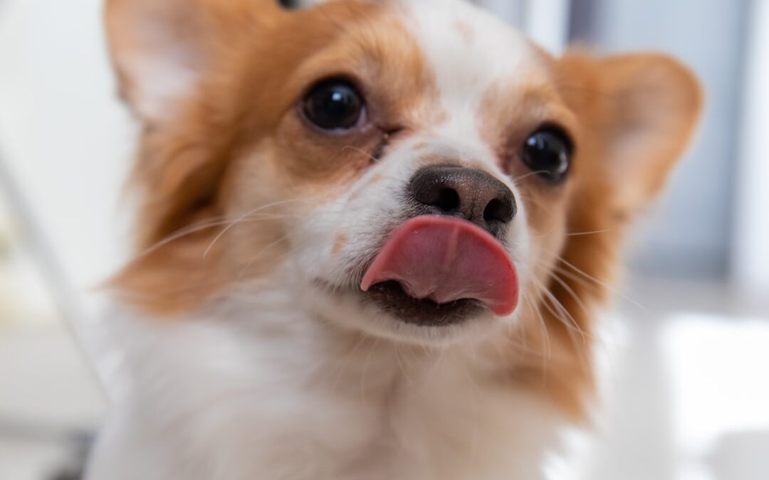 Photo White-coated tongue