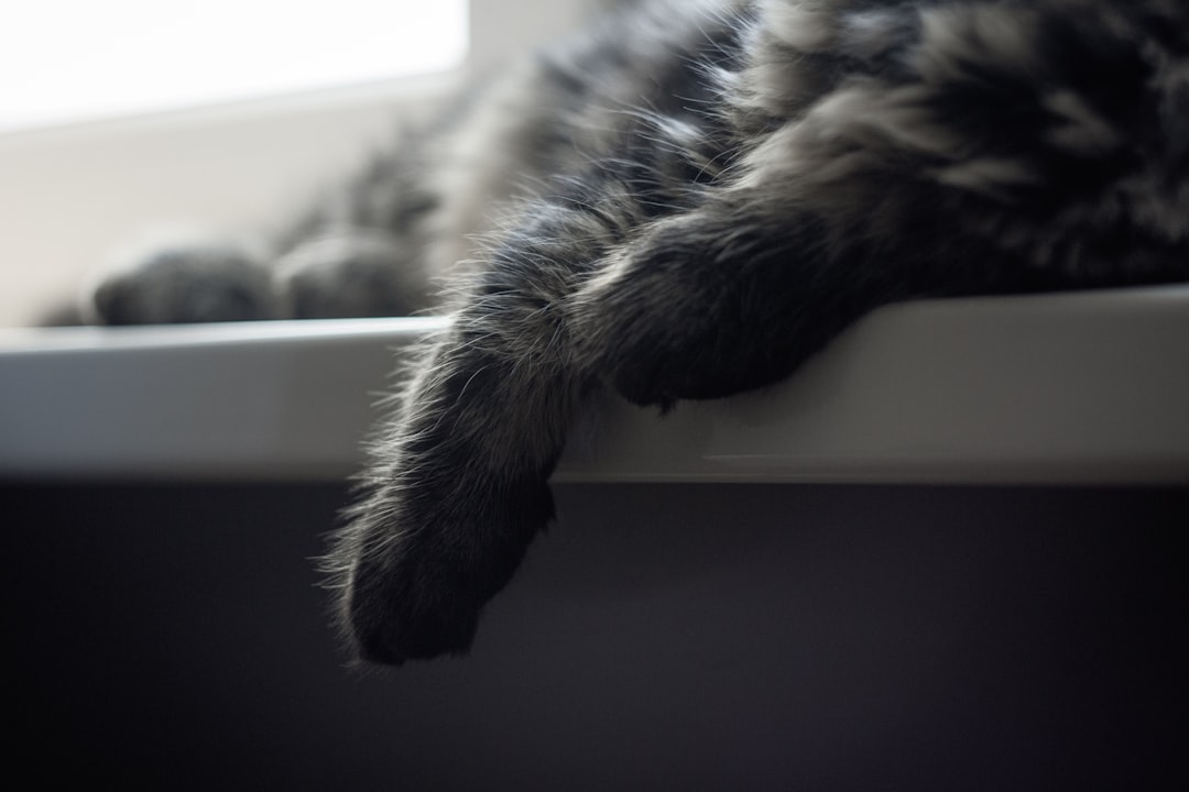 Photo Sleeping position