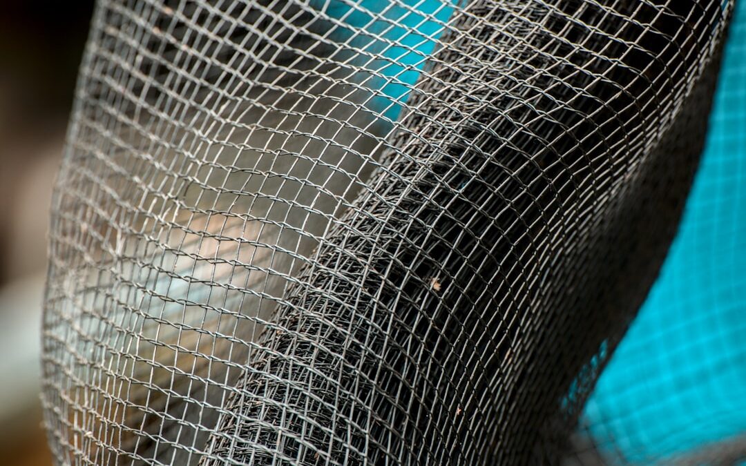 Photo Surgical mesh