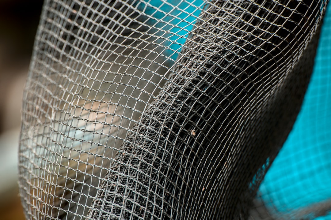 Photo Surgical mesh