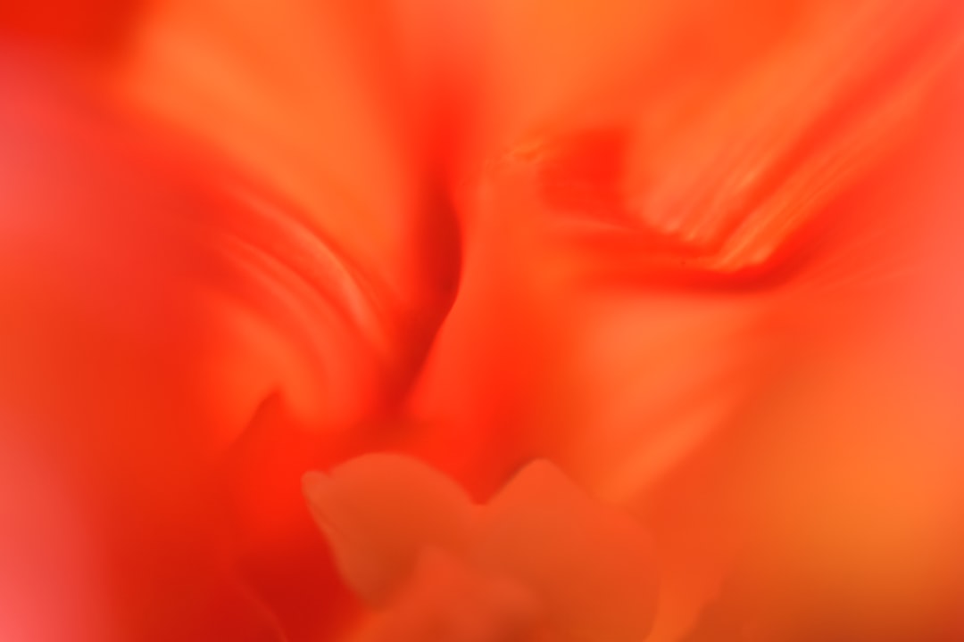Photo Stomach discomfort