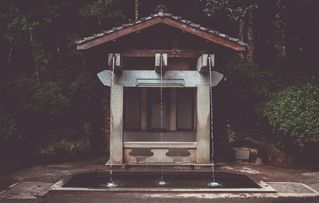 Photo Sanitation station