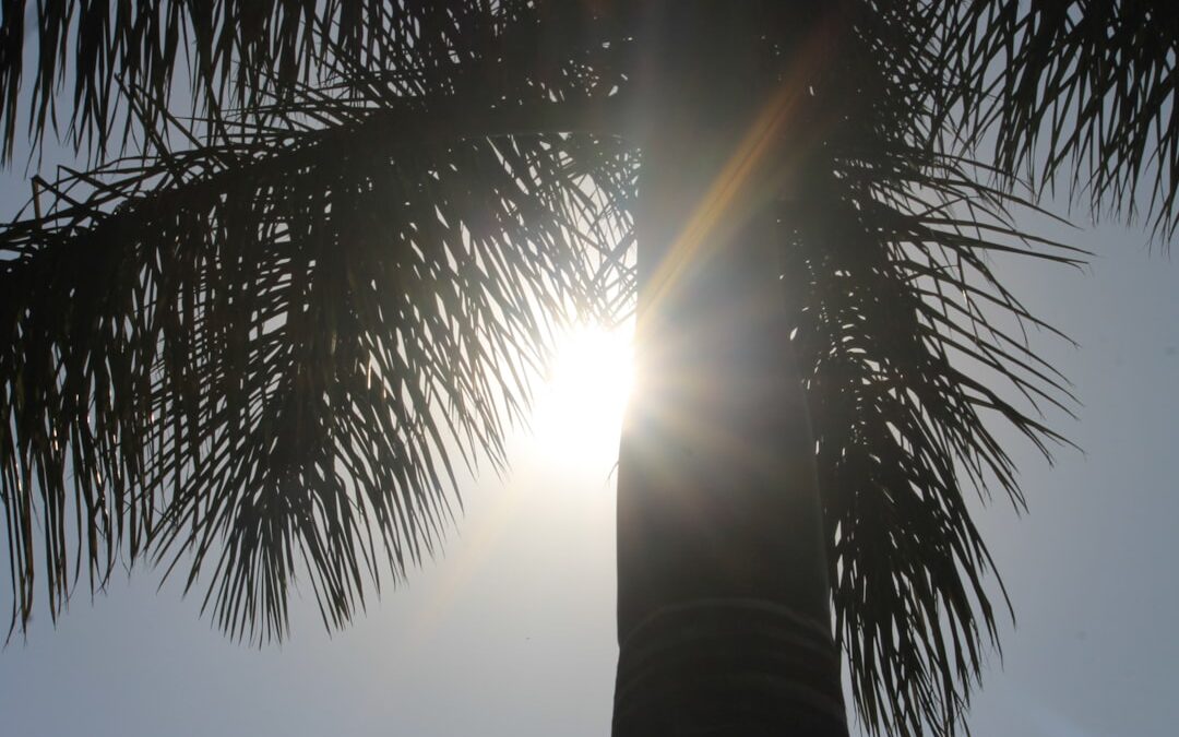 Photo Sunburn relief