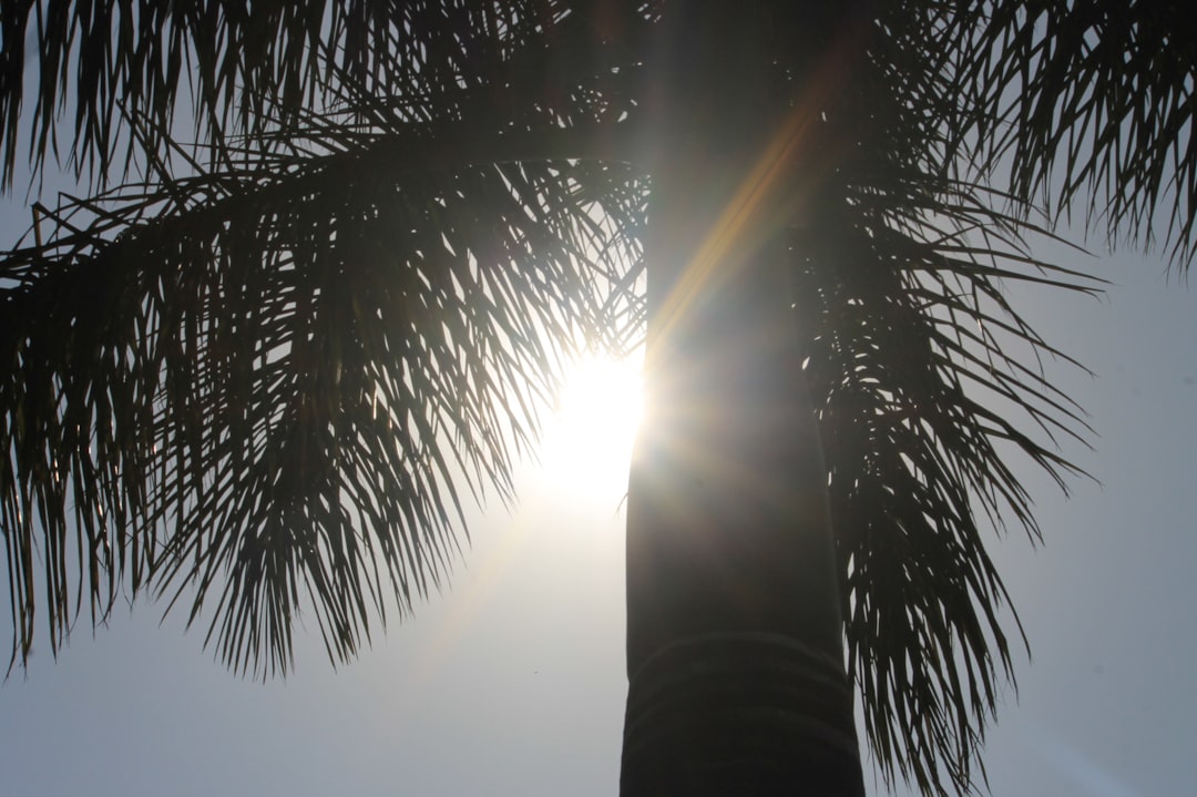 Photo Sunburn relief