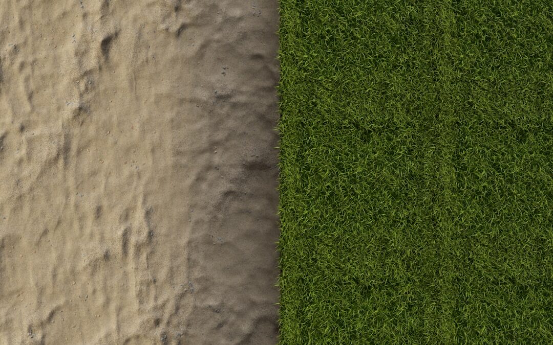 Photo Before and after