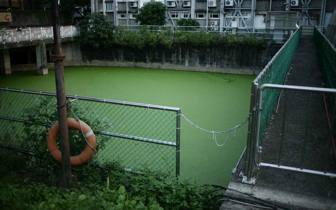 Photo Sewage overflow