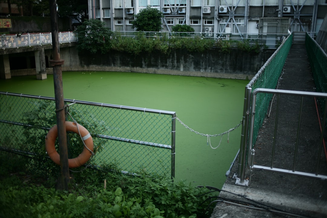 Photo Sewage overflow