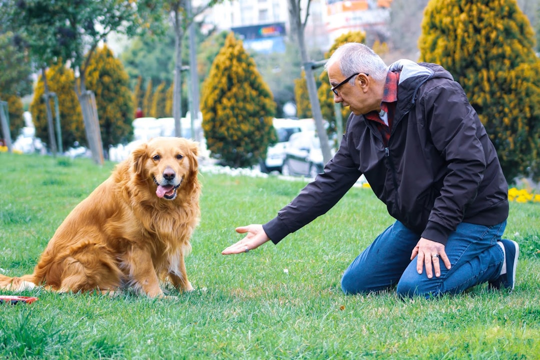 Photo Veterinarian examining dog
