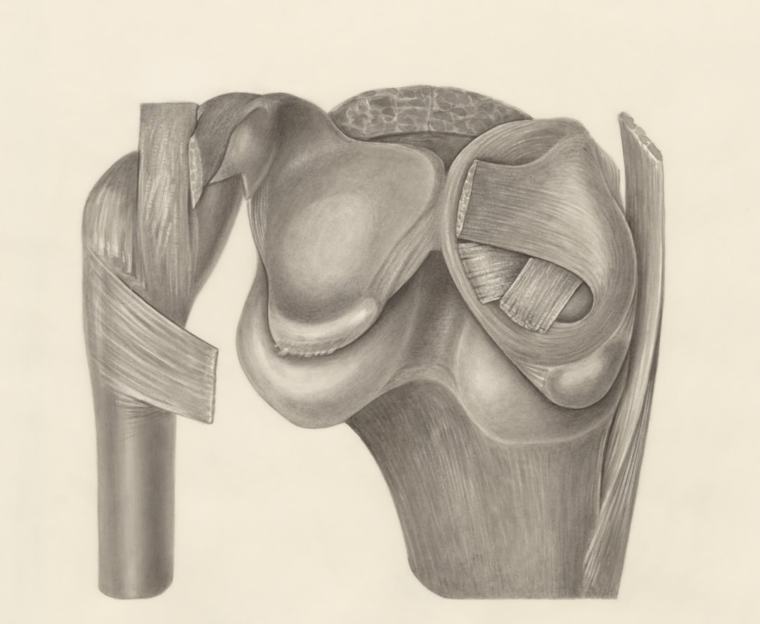 Photo Anatomical illustration