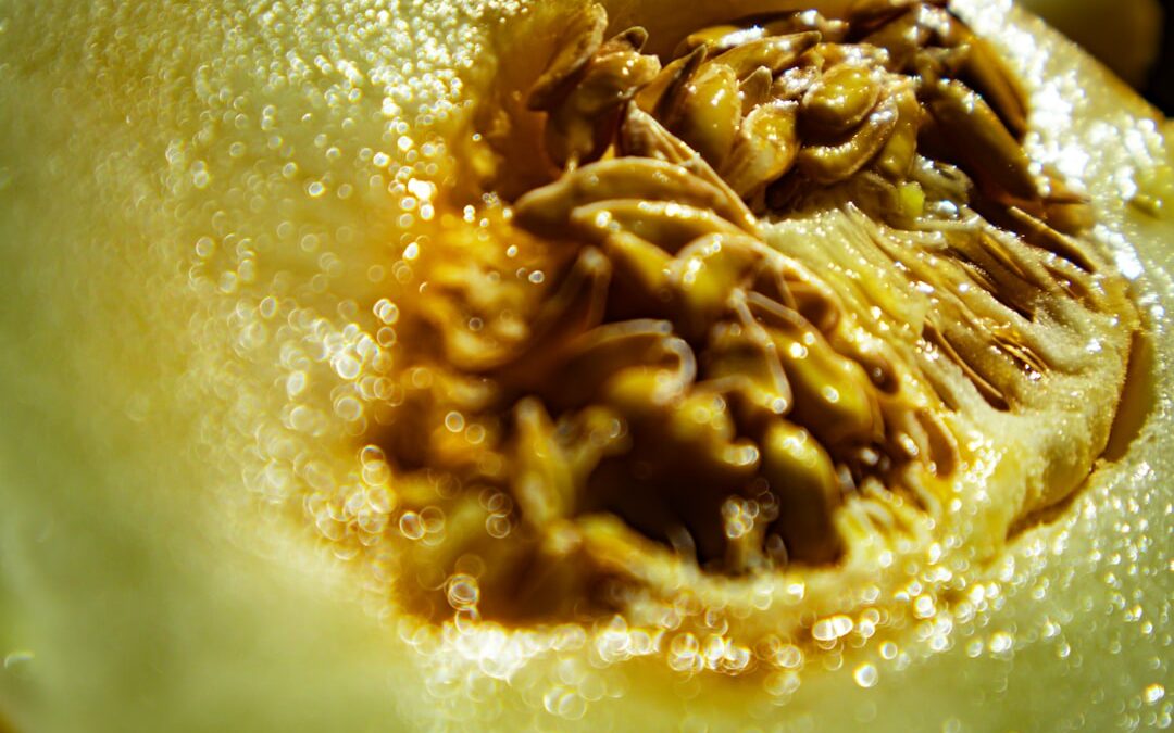 Photo Acidic stomach