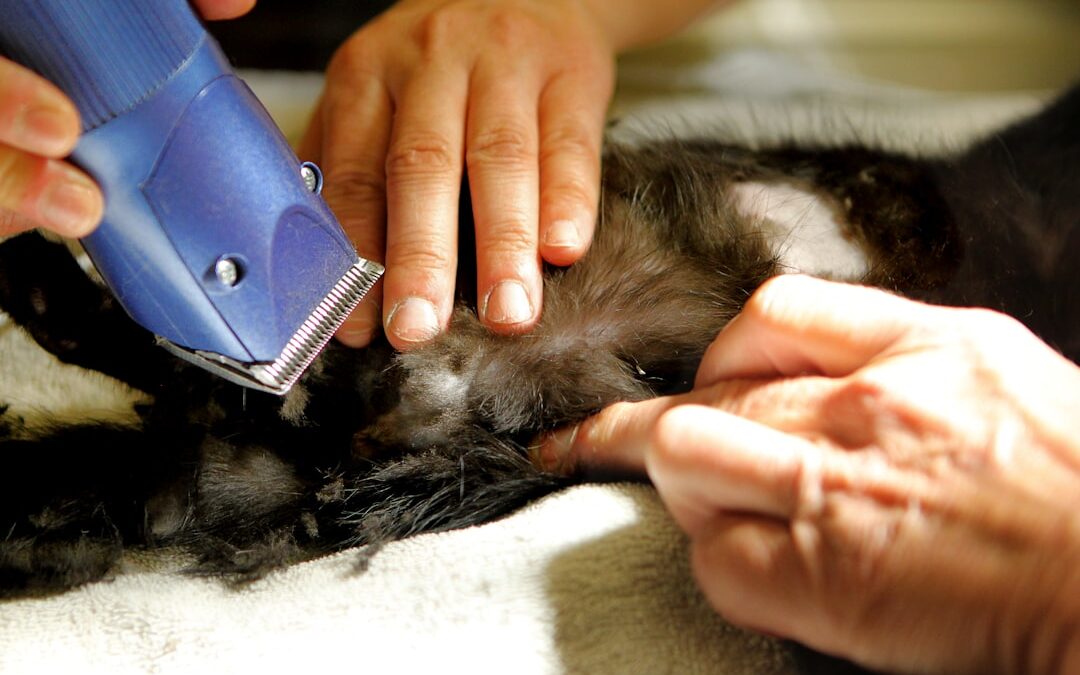 Photo Surgical procedure