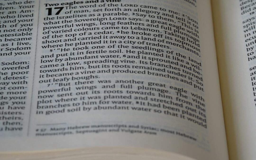 Photo Medical journal