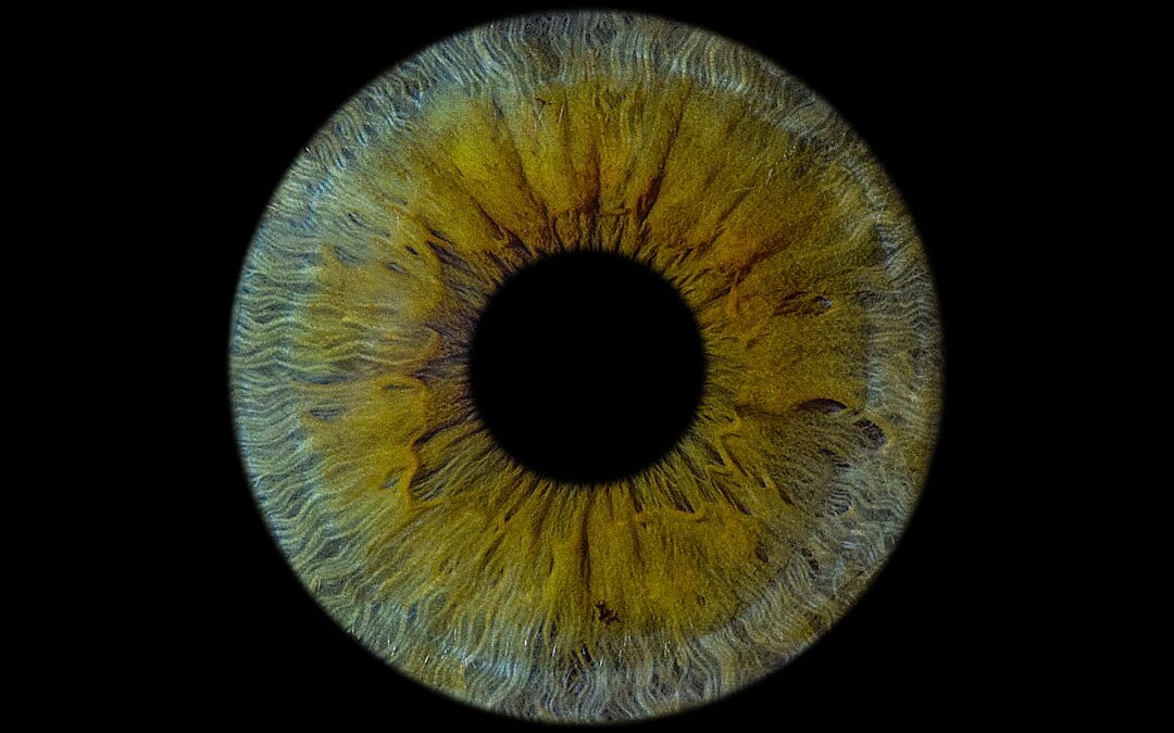 Photo Eye scan