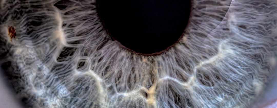 Photo Eye scan