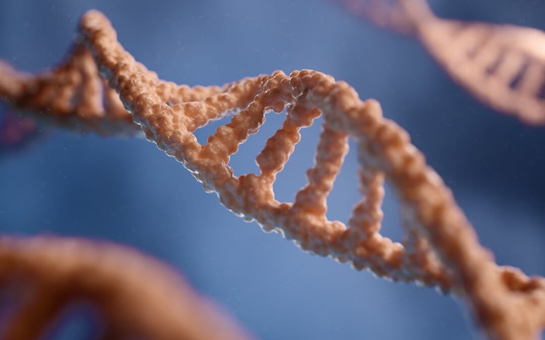 Photo Gene editing