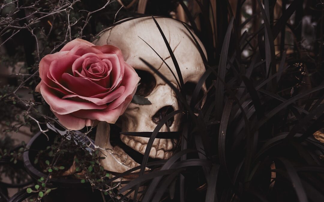 Photo Infected roses