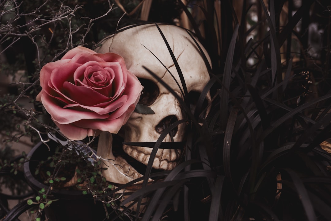 Photo Infected roses