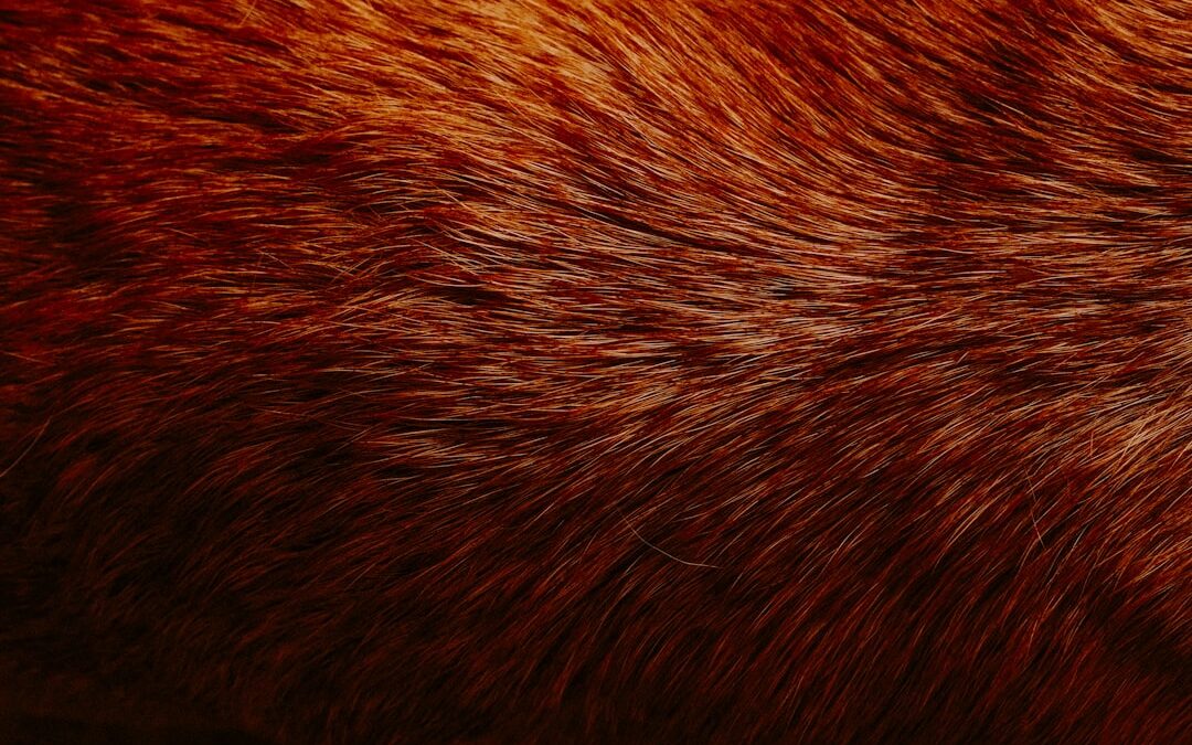 Photo Oily scalp