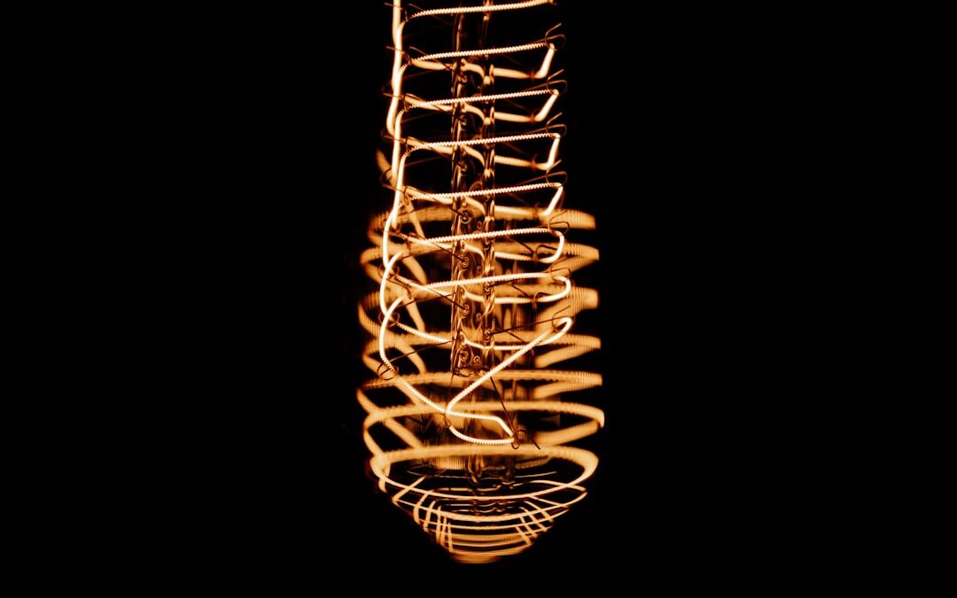 Photo Spinal cord diagram