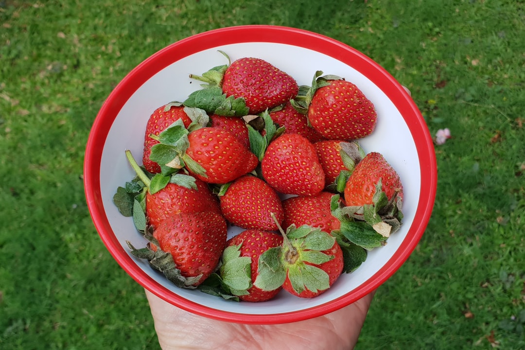 Photo Healthy diet