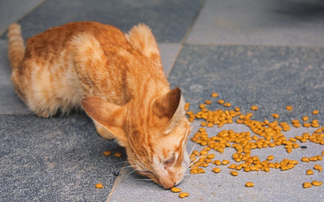 Photo Food poisoning