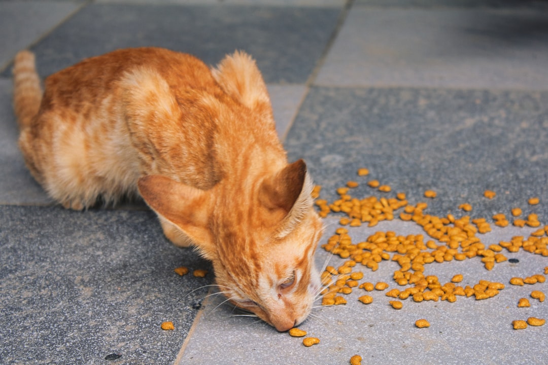 Photo Food poisoning