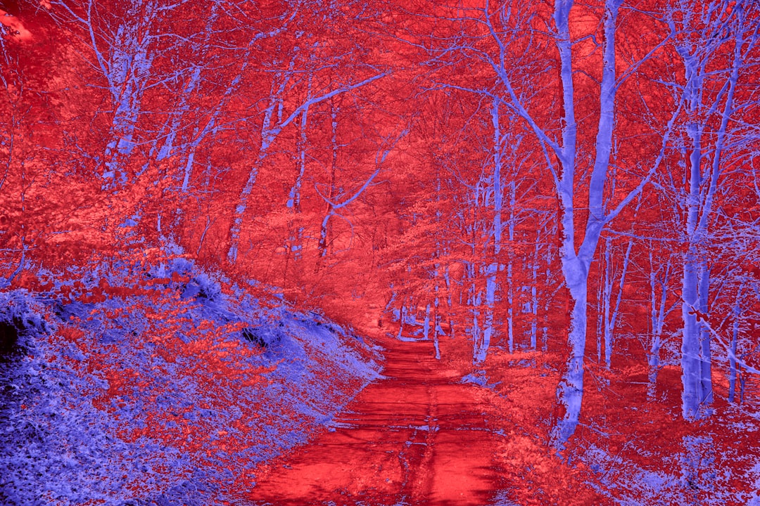Photo Infrared therapy