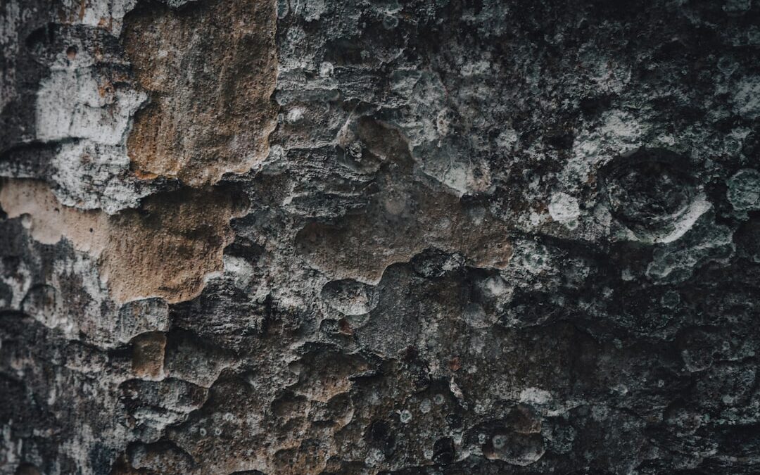 Photo Dry skin