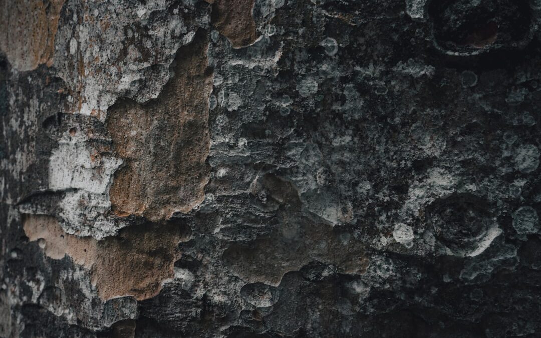 Photo Dry skin