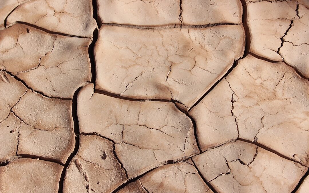 Photo Dry skin