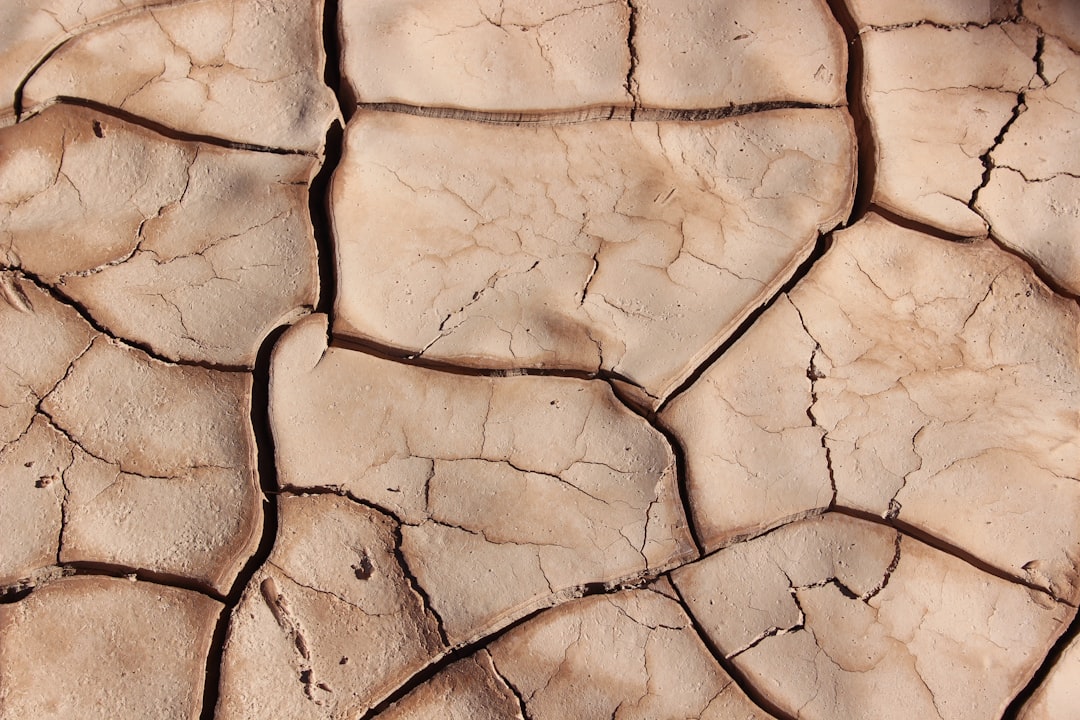 Photo Dry skin