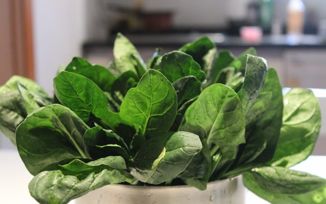 Photo Fresh vegetables