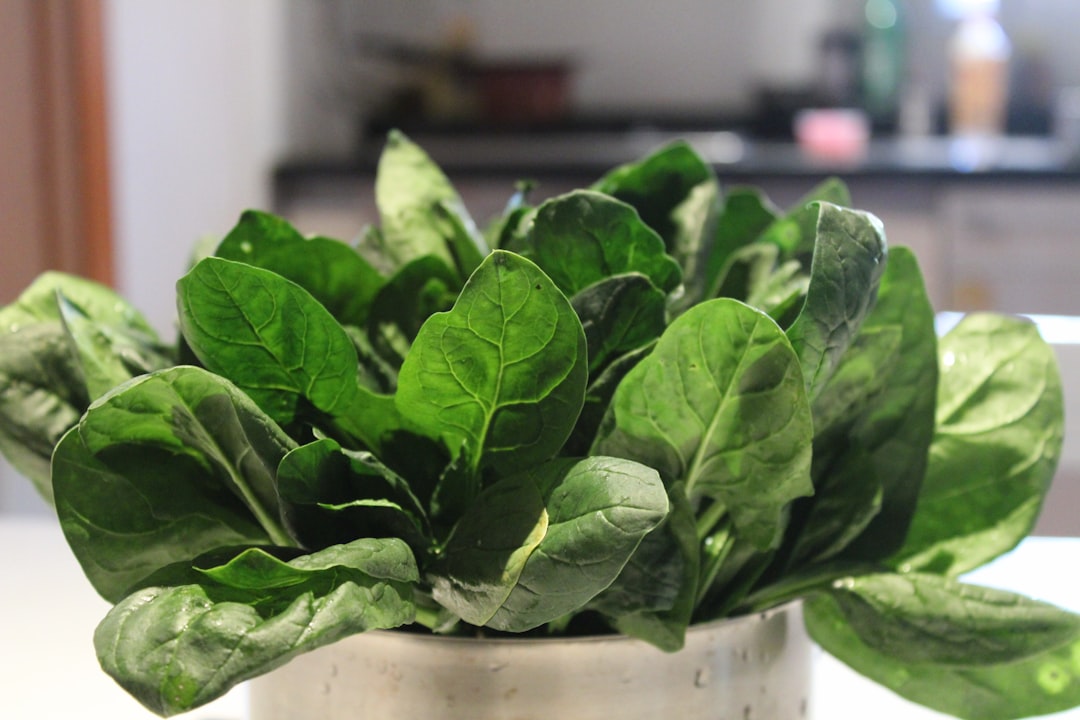 Photo Fresh vegetables