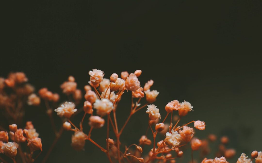 Photo Soothing balm