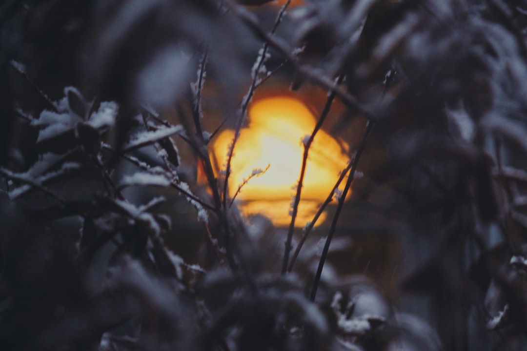 Photo Warm compress