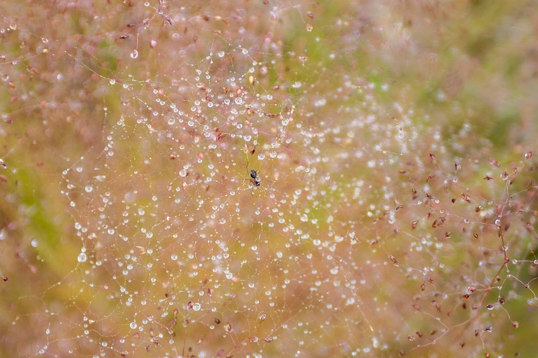 Photo Jaundiced skin