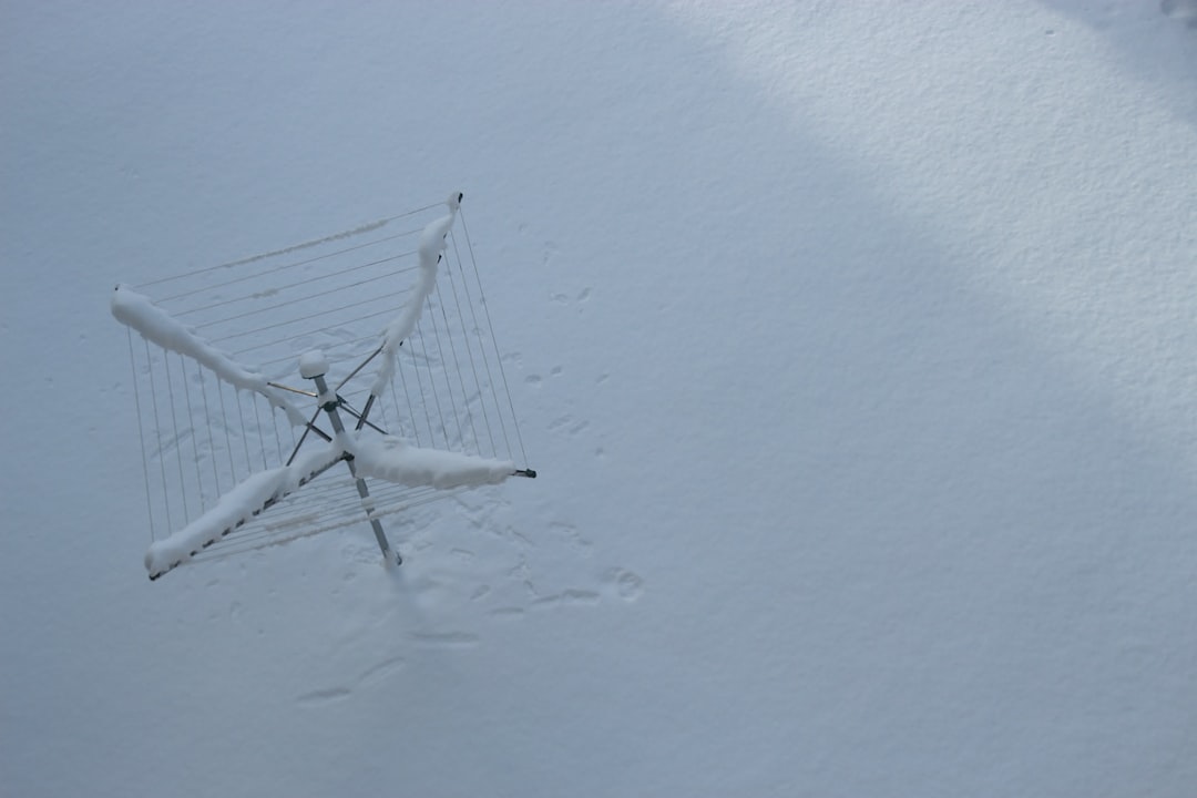 Photo Mosquito net