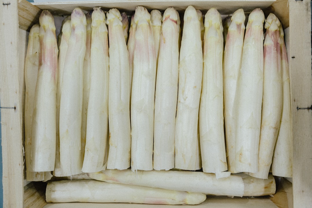 Photo Bone marrow